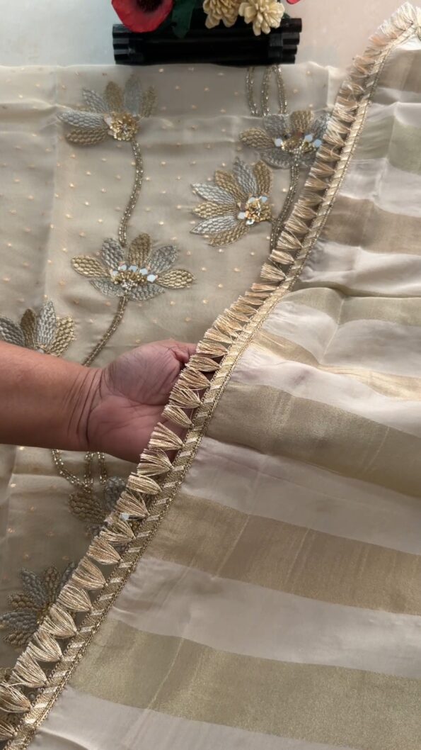 Dark Skin Simari Organza Delhi Boutique Dress